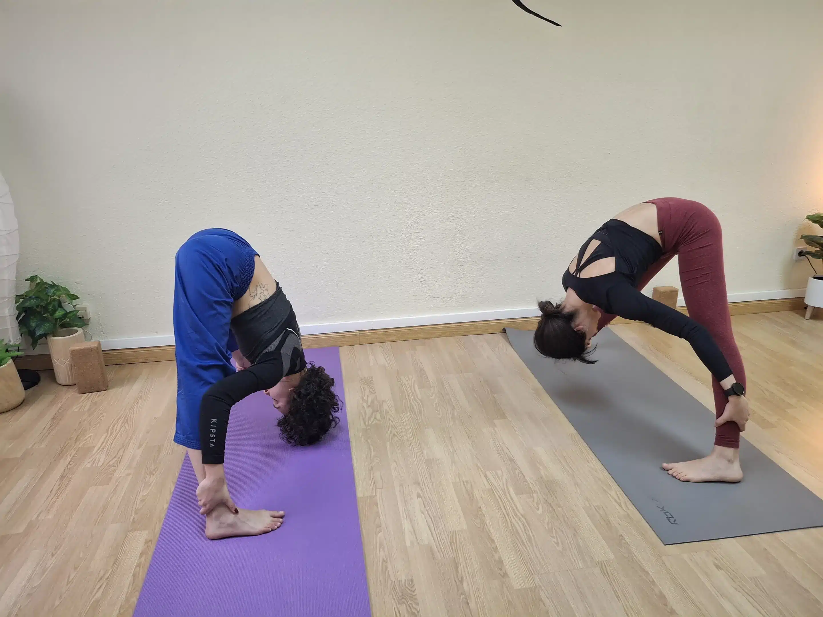 curso AVANZADO vinyasa flow yoga